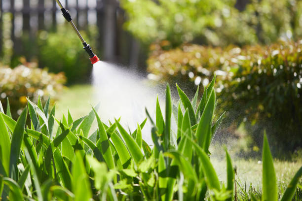24/7 Emergency Ant Control experts in Ferguson, MO