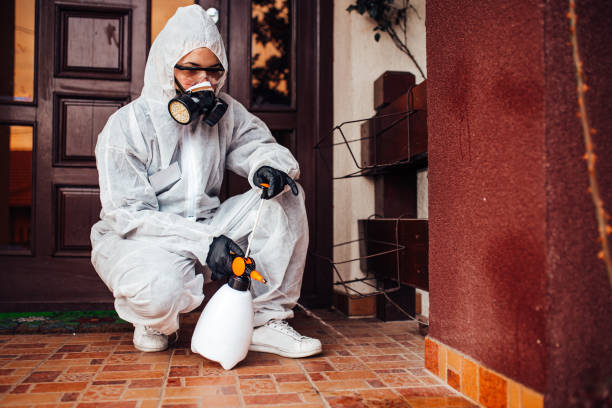 Reliable Ant Control contractor in Ferguson, MO by Show Me Pest Control